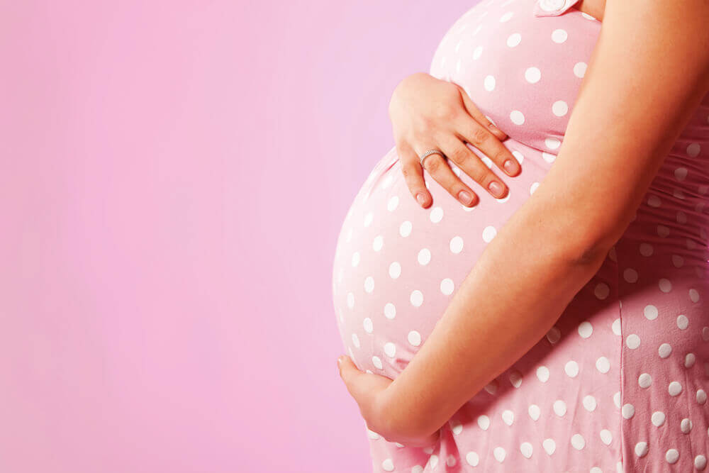 gravid