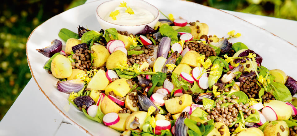 En salat med dy puy-linser mætter og tager sig smukt ud