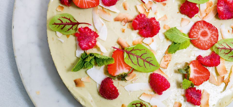 Avocadocheesecake er en skøn opskrift fra ny vegetarisk kogebog