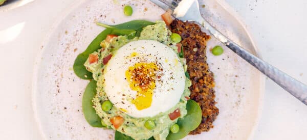 Avocadomash