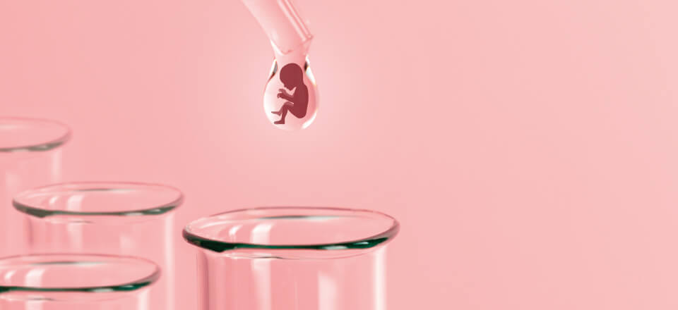 fertilitet