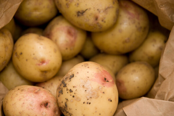 Photo: Shutterstock